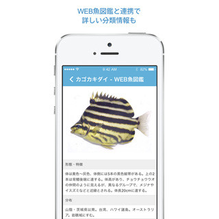 画像認識による魚の自動判定アプリ「魚みっけ」、iOS版が登場