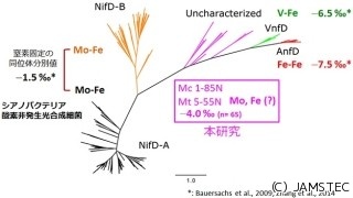 35億年前には深海熱水環境で古細菌が窒素固定を行っていた - JAMSTECなど