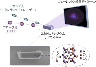 北大など、ナノ結晶中の超高速構造変化をX線レーザで捉えることに成功