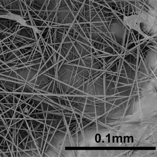 キウイ含有成分と酵素を組み合わせると高い殺虫効果が得られる - 生物研