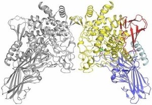 東大など、酵素「グルコシルグリセロールホスホリラーゼ」の立体構造を解明