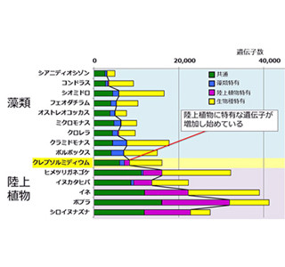 藻類から陸上植物への遺伝子進化示す