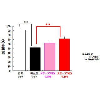 サントリー、オリーブ抽出物の血管内皮機能低下抑制効果などを確認