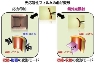 東工大など、機能性フィルムの簡便な表面歪み計測法を開発　　