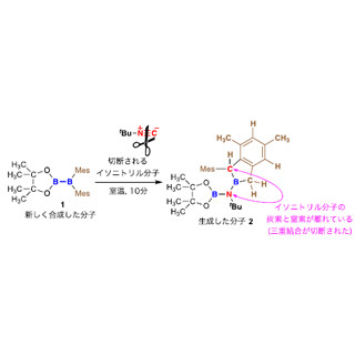 炭素・窒素三重結合はホウ素・ホウ素単結合化合物で容易に切断できる-中央大