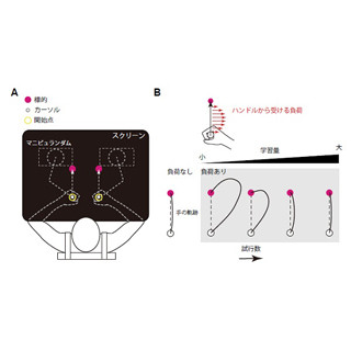 実は両手を使った動作における運動調整能力は左手の方が優れていた!? -東大