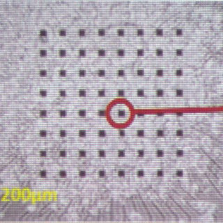NEDOなど、iPS細胞を活用した心筋用医薬品副作用高精度予測システムを開発