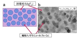 東北大など、大きな誘電率と磁気-誘電効果のナノグラニュラー材料を開発