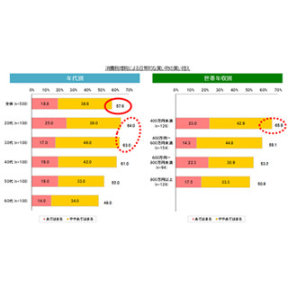 57.6%の主婦が買い控えをしている - 「消費税増税後の消費意識」調査