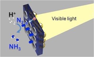 北大、可視光で空気中の窒素をアンモニアに変換する人工光合成技術を開発