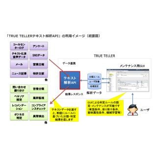 野村総研、TRUE TELLERテキストマイニングをAPI化し販売開始