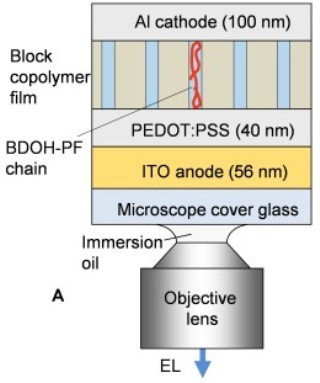 東工大、高分子1本鎖からの電界発光を観測 - 高分子ELの高耐久性に寄与