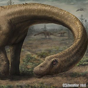 アルゼンチンで史上最大級の恐竜見つかる - 体重約60tでまだ成長途中