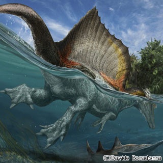 史上最大級の肉食恐竜は水中で生活していた？ - シカゴ大が発表