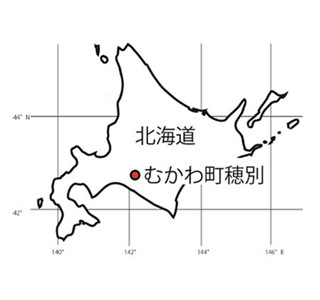 恐竜の頭骨を北海道・穂別で確認