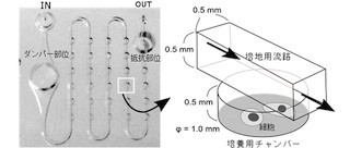 アークレイなど、ヒトiPS細胞を1個から培養可能な超小型装置を開発