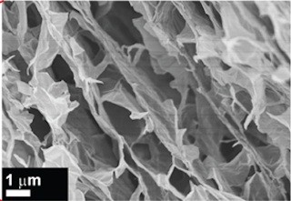 京大、形状と細孔サイズを変えられる3次元グラフェンナノシートを開発