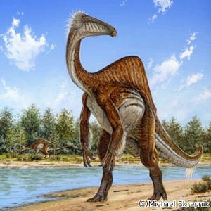 北大など、約50年間謎とされていた恐竜の姿を解明