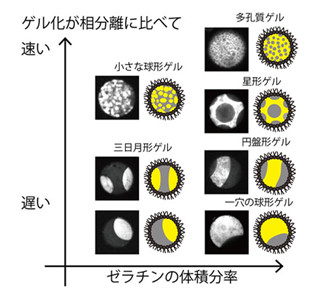 微小なゼリー球が三日月や星形になった