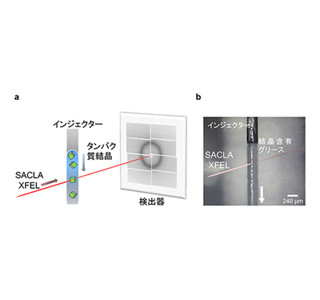 少量の試料で超短時間構造解析法を開発