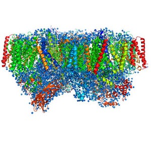 光合成タンパク質の正確な構造を解明