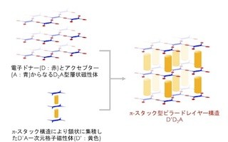 東北大、分子磁性体を組み合わせて新しい分子磁石を作ることに成功