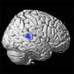 親子で過ごす時間が長いほど、子供の言語機能の発達を増加させる - 東北大