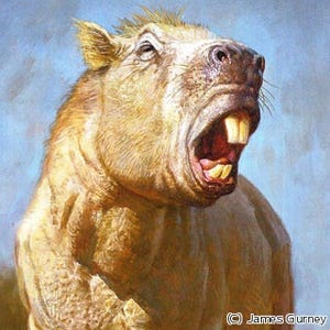 300万年前の巨大モルモットは前歯をゾウのように使っていた? - 英ヨーク大