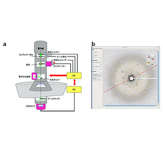 微小なタンパク質結晶を電子線で構造解析