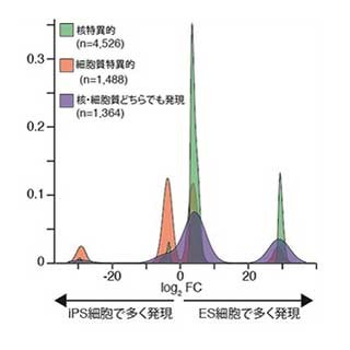 理研、iPS細胞とES細胞の違いを決める分子を特定