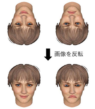 逆さまの顔は認知しにくい理由を解明