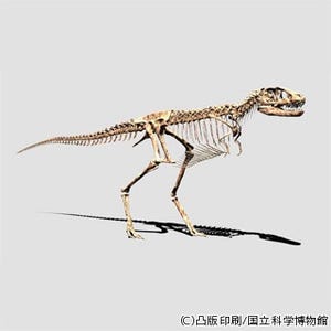 凸版印刷など、未発見のティラノサウルスの幼体の全身骨格をデジタル復元