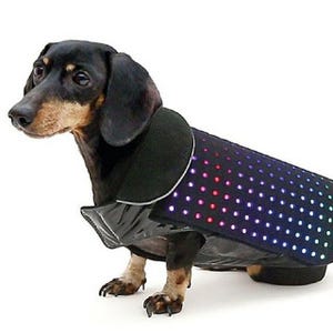 スマホで操作できる愛犬用のLEDベスト「Disco Dog」の開発資金を募集中