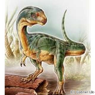 ティラノサウルスなど属する獣脚類に草食の恐竜 - 南米チリで発見