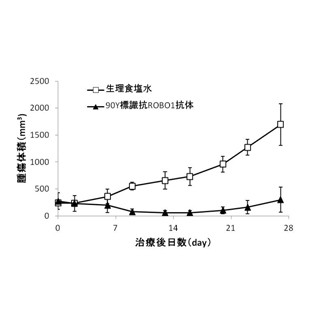 がん細胞だけに結合する抗体でがん細胞を殺傷 - 東大がマウスで確認