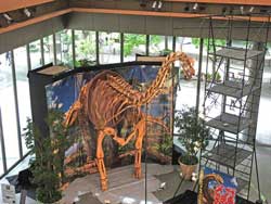 東京 丸の内に欧州最大の恐竜 トゥリアサウルス が出現 Tech
