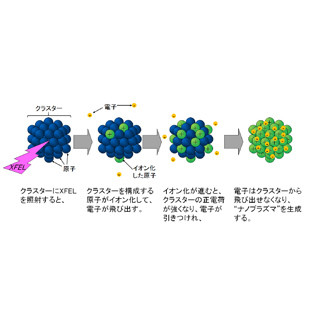 東北大など、強力X線の照射でナノクラスのプラズマが生成されることを発見