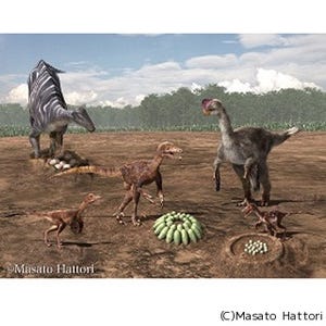 兵庫県丹波市で新種の恐竜卵化石を発見 - カルガリー大など