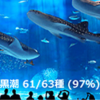 水を調べるだけで生息する魚の種類が判別可能に - 千葉県立中央博物館など