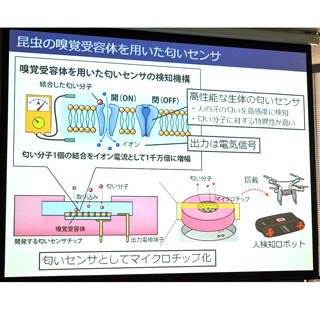 NEDO、次世代ロボット技術の研究で虫の嗅覚受容体を用いた匂いセンサ開発へ