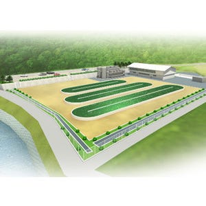 デンソー、バイオ燃料の実用化に向け熊本県に微細藻類の大規模培養実証施設