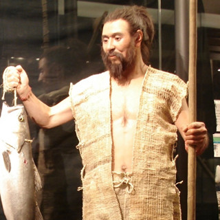 江戸時代人は極めて胴長短足であることが明らかに - 国立科学博物館と東大