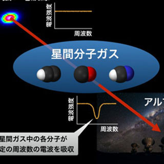 東大など、従来観測できなかった希薄な星間分子ガスの化学組成を解明