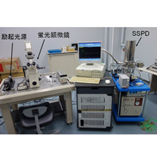 NICTなど、細胞内タンパク質の凝集状態を測定できる新手法を開発