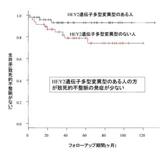 広島大、突然死を起こす「ポックリ病」の発症を抑制する遺伝子を発見