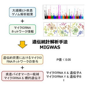 TMDU、マイクロRNAをスパコンでスクリーニングする遺伝統計解析手法を開発