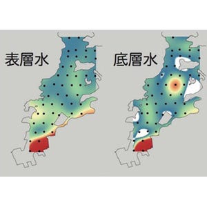 神戸大など、環境DNA解析法によって海洋中の魚群の分布や規模を明らかに