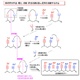 京大、設計どおりの配列でモノマーを並べられる高分子合成手法を開発