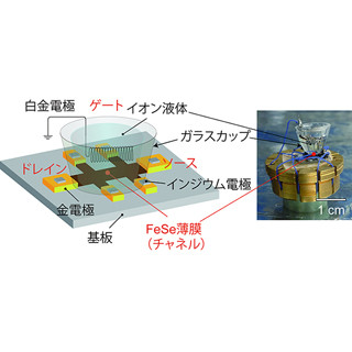 絶縁性FeSe薄膜利用で鉄系超伝導体の臨界温度が4倍に - 東工大発表