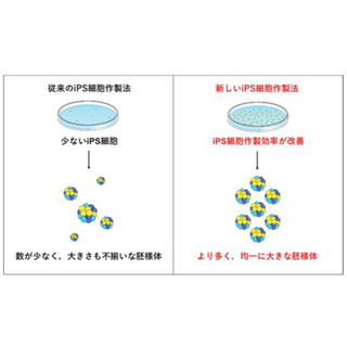 慶大、iPS細胞を高効率・高品質で作成することに成功